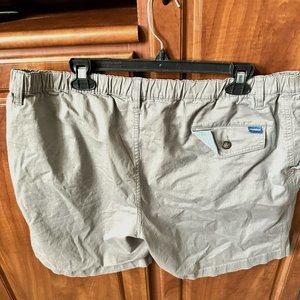 Chubbies Shorts